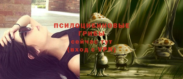 mix Абаза