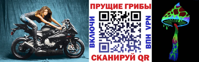 Галлюциногенные грибы Psilocybine cubensis  что такое наркотик  Сергач 