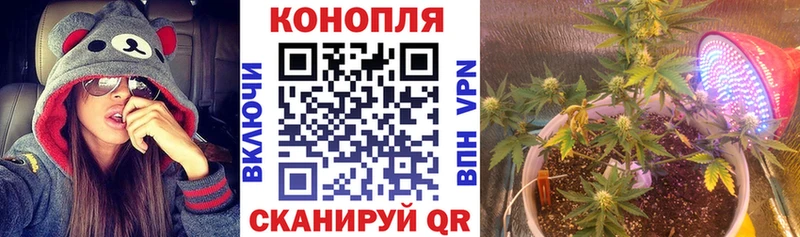 ссылка на мегу как зайти Сергач Шишки марихуана марихуана